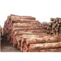 南丹松木收购企业一览表