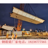 广东东莞钢结构桥梁公司 钢箱梁顶推法施工风险