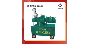 电动打压泵  2dsy型号压力自控电动试压泵报价